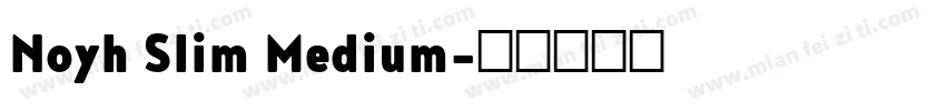 Noyh Slim Medium字体转换